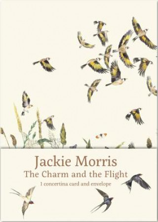 Könyv Charm and the Flight Concertina Card Jackie Morris