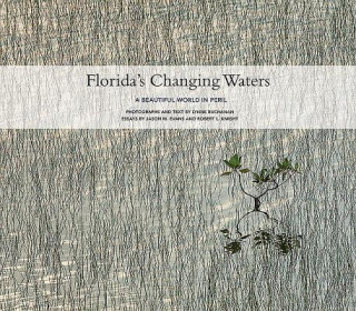 Kniha Florida'S Changing Waters Lynne Buchanan