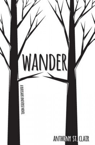 Livro Wander Anthony St. Clair