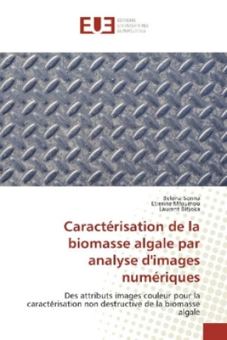 Carte Caractérisation de la biomasse algale par analyse d'images numériques Belona Sonna