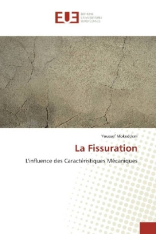 Livre La Fissuration Youssef Mokeddem