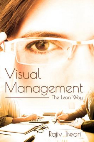 Buch Visual Management Rajiv Tiwari