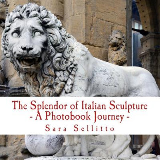 Könyv The Splendor of Italian Sculpture - A Photobook Journey Sara Sellitto