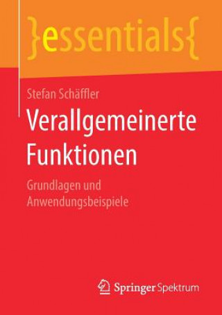Kniha Verallgemeinerte Funktionen Stefan Schäffler