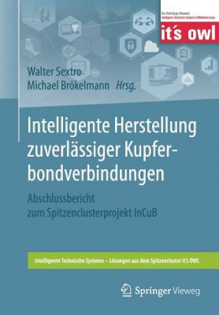 Könyv Intelligente Herstellung Zuverlassiger Kupferbondverbindungen Walter Sextro