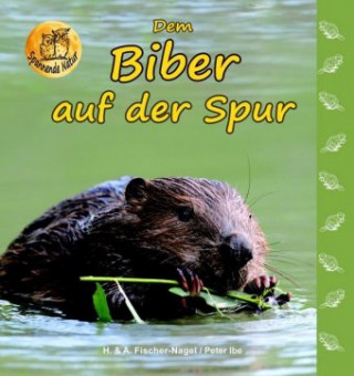 Kniha Dem Biber auf der Spur Heiderose Fischer-Nagel