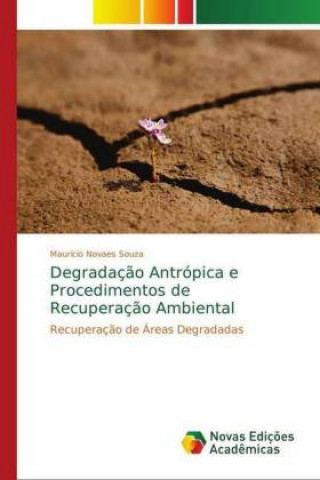 Kniha Degradacao Antropica e Procedimentos de Recuperacao Ambiental Maurício Novaes Souza