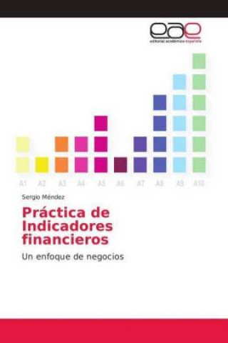 Livre Practica de Indicadores financieros Sergio Méndez
