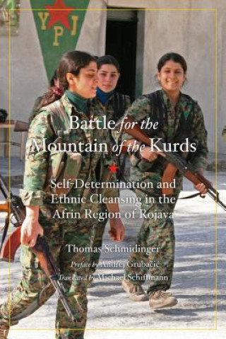 Carte Battle For The Mountain Of The Kurds Andrej Grubacic