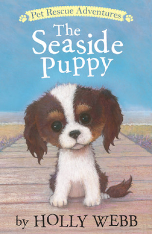 Kniha Seaside Puppy Holly Webb
