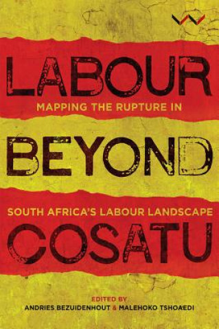 Boek Labour Beyond Cosatu Andries Bezuidenhout