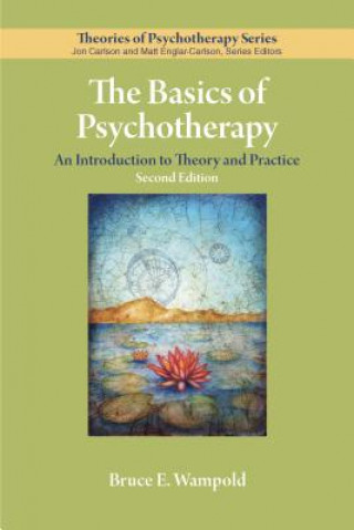 Kniha Basics of Psychotherapy Bruce E. Wampold