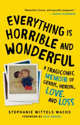Carte Everything Is Horrible and Wonderful: A Tragicomic Memoir of Genius, Heroin, Love and Loss Stephanie Wittels Wachs