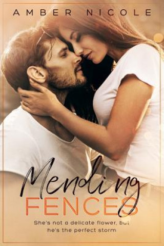 Boek Mending Fences Amber Nicole