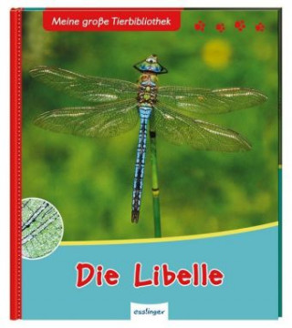 Kniha Meine große Tierbibliothek: Die Libelle Axel Gutjahr