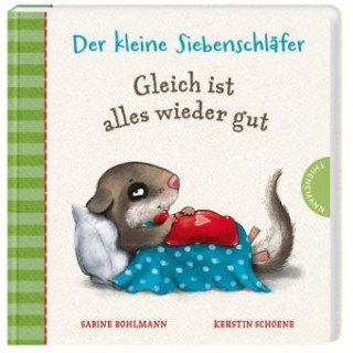 Kniha Der kleine Siebenschläfer - Gleich ist alles wieder gut Sabine Bohlmann