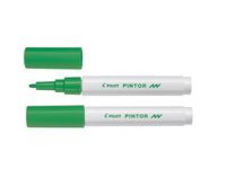 Papírszerek Marker Pilot Pintor F  zielony 