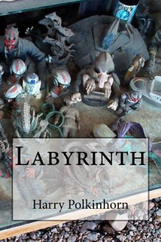 Knjiga Labyrinth Harry Polkinhorn