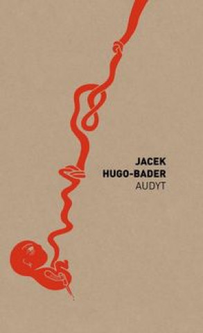 Knjiga Audyt Hugo-Bader Jacek