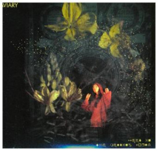 Audio Aviary, 2 Audio-CDs Julia Holter