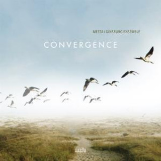 Audio Convergence Mezza