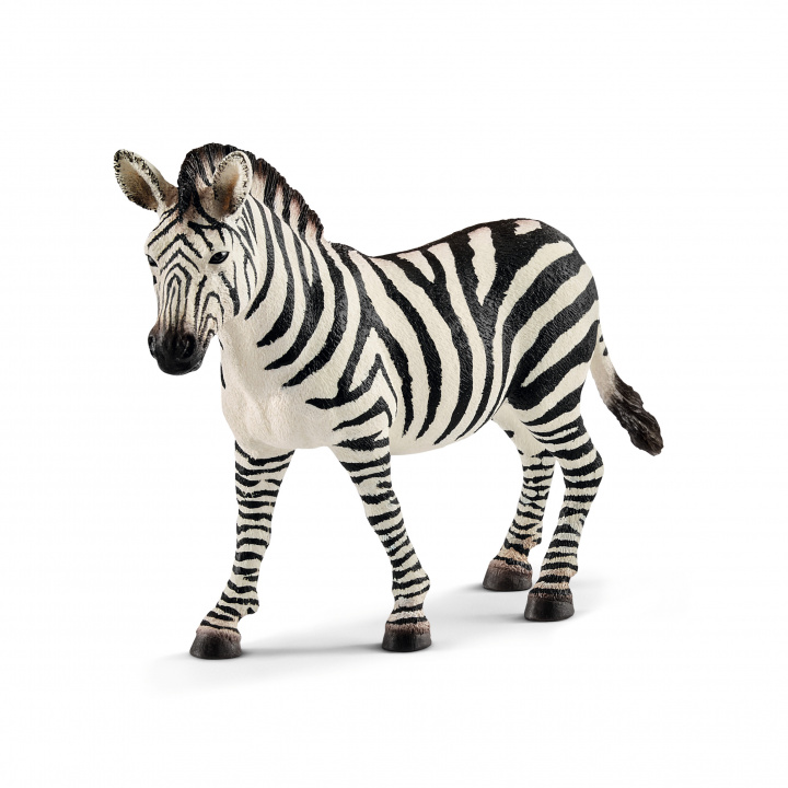 Játék Zebra samica 