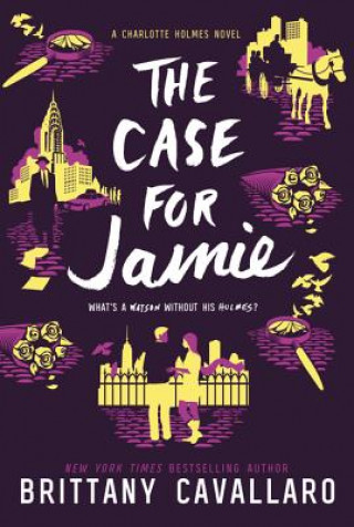 Book The Case for Jamie Brittany Cavallaro