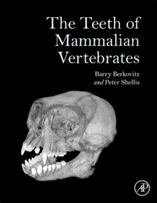 Kniha Teeth of Mammalian Vertebrates BERKOVITZ