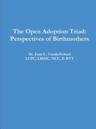 Kniha Open Adoption Triad LCPC LMHC NCC E-RYT Dr VanderSchaaf