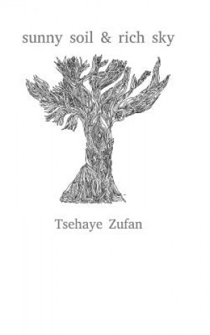 Книга sunny soil & rich sky Tsehaye Zufan