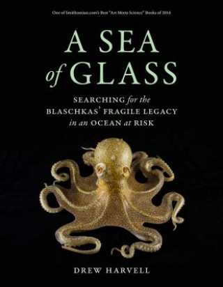 Könyv Sea of Glass Drew Harvell