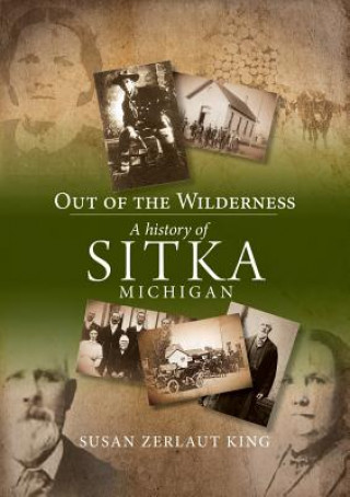 Knjiga Out of the Wilderness Susan Zerlaut King