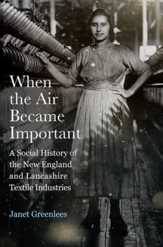 Knjiga When the Air Became Important Janet Greenlees