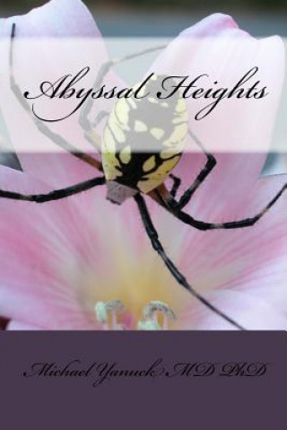 Buch Abyssal Heights Michael Yanuck