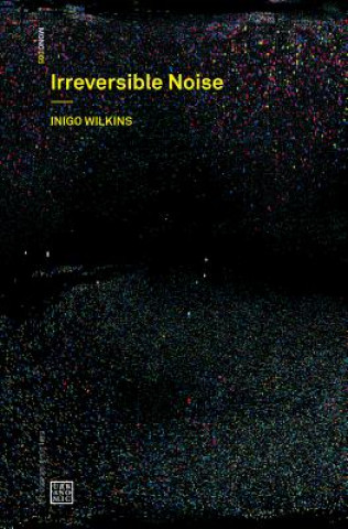 Kniha Irreversible Noise Inigo Wilkins