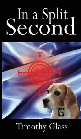 Knjiga In a Split Second TIMOTHY GLASS