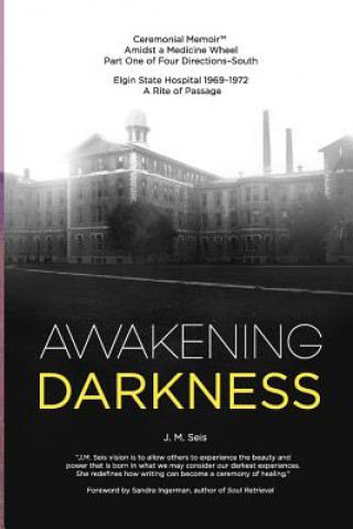 Kniha Awakening Darkness J M Seis