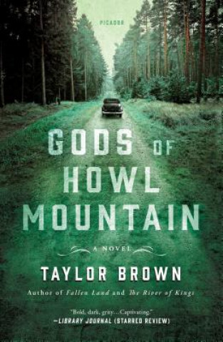 Carte Gods of Howl Mountain Taylor Brown