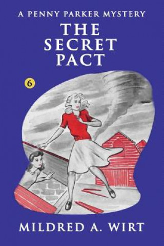 Buch Secret Pact Mildred A Wirt