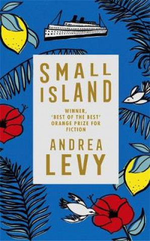 Kniha Small Island Andrea Levy