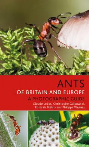 Könyv Ants of Britain and Europe Claude Lebas
