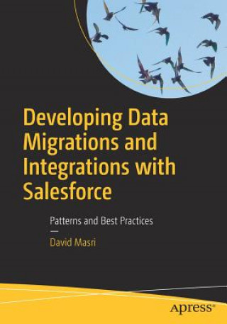Kniha Developing Data Migrations and Integrations with Salesforce David Masri