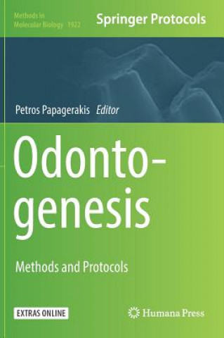Książka Odontogenesis Petros Papagerakis
