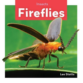 Kniha Fireflies Leo Statts