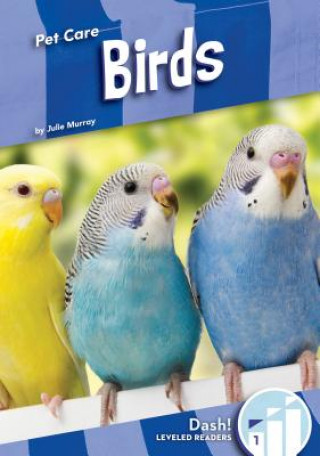 Kniha Birds Julie Murray