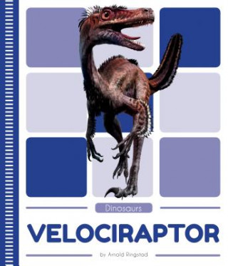 Boek Velociraptor Arnold Ringstad