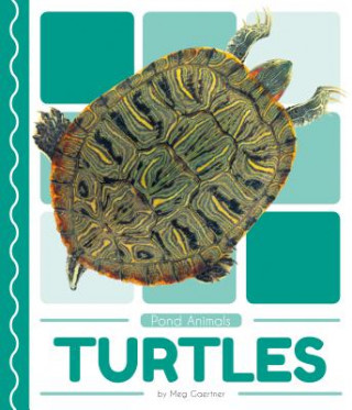 Knjiga Turtles Meg Gaertner