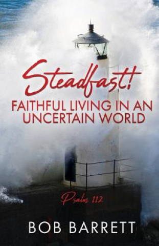 Carte Steadfast! Faithful Living in an Uncertain World Bob Barrett