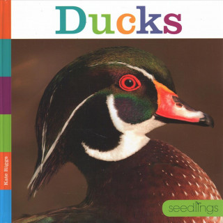 Knjiga Ducks Kate Riggs