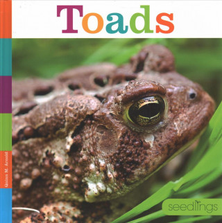Boek Toads Quinn M Arnold